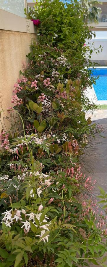 Villa Azul San Pedro del Pinatar Bagian luar foto
